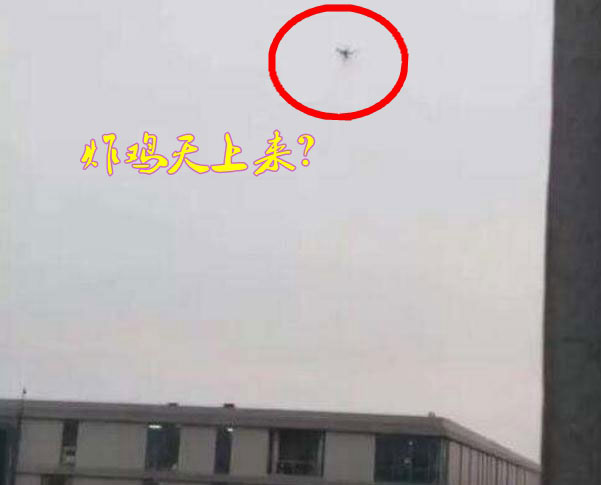 炸雞天上來，可知「炸機」危害性？